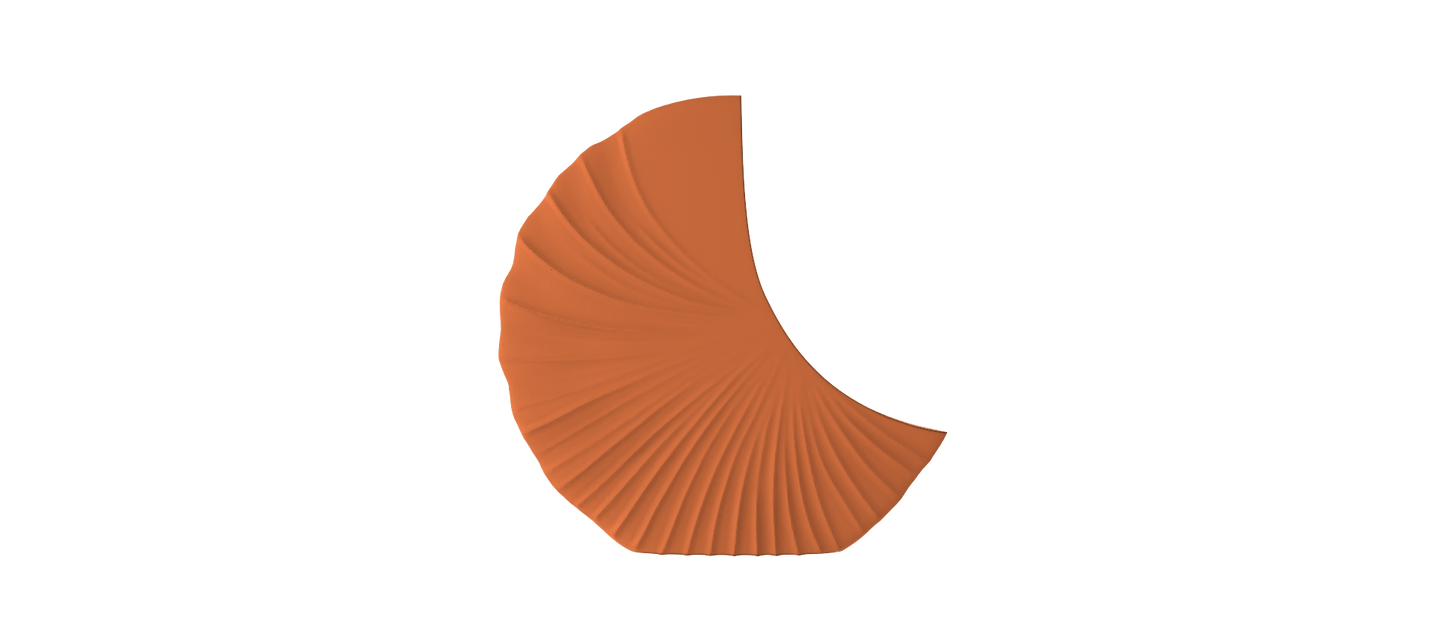 a single, orange-colored object with a curved, fan-like shape against a black background.