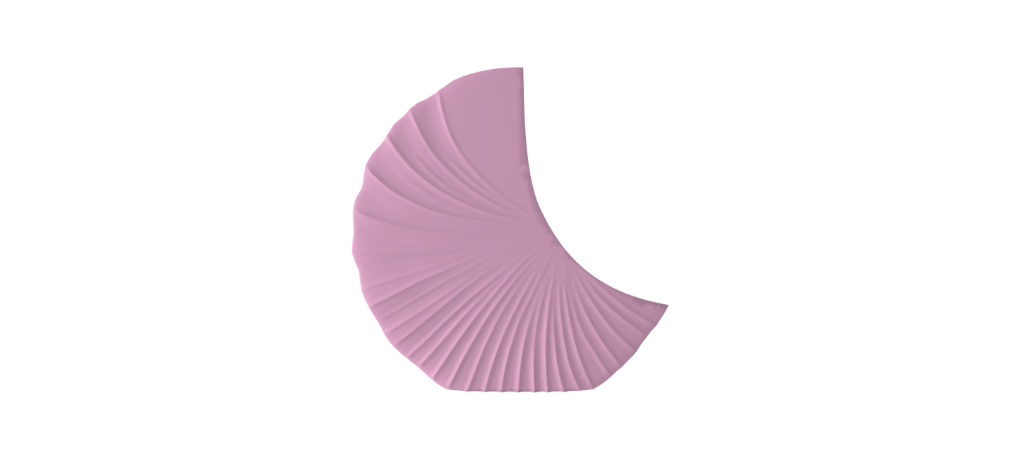 A single, curved, pink object resembling a shell or leaf against a black background.